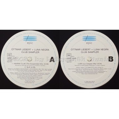 Ottmar Liebert & Luna Negra - Club Sampler • 12" Vinyl Maxi • EX - Labyrinth Music