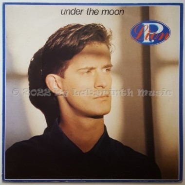P. Lion - Under The Moon • 12" Vinyl Maxi • EX - Labyrinth Music