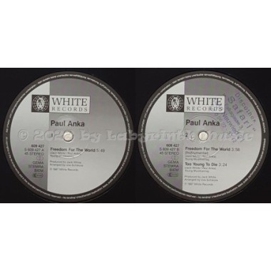Paul Anka - Freedom For The World • 12" Vinyl Maxi - Labyrinth Music