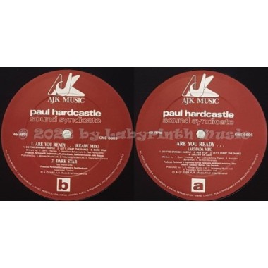 Paul Hardcastle - Are You Ready... (Sound Syndicate) • 12" Vinyl Maxi • NM - Labyrinth Music