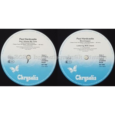 Paul Hardcastle - Don't Waste My Time • 12" Vinyl Maxi • NM - Labyrinth Music