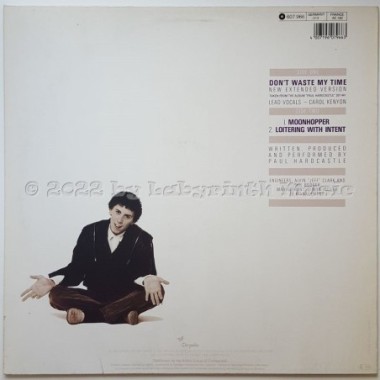 Paul Hardcastle - Don't Waste My Time • 12" Vinyl Maxi • EX - Labyrinth Music