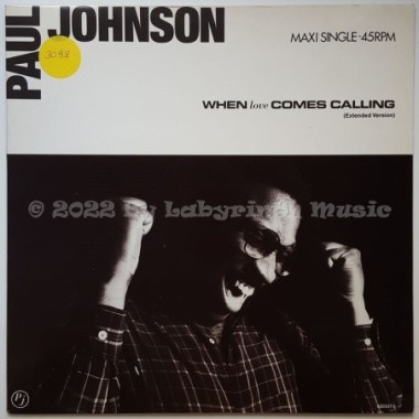 Paul Johnson - When Love Comes Calling • 12" Vinyl Maxi • MINT - Labyrinth Music