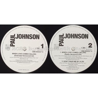 Paul Johnson - When Love Comes Calling • 12" Vinyl Maxi • MINT - Labyrinth Music