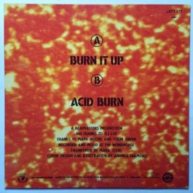 Beatmasters With P.P. Arnold - Burn It Up • 12" Vinyl Maxi - Labyrinth Music