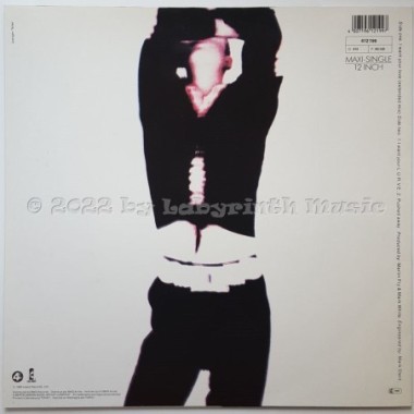 Paul Rutherford - I Want Your Love • 12" Vinyl Maxi • MINT - Labyrinth Music