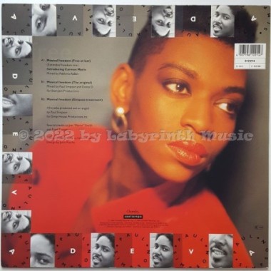 Paul Simpson Feat. Adeva - Musical Freedom • 12" Vinyl Maxi • MINT - Labyrinth Music