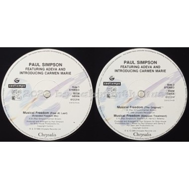 Paul Simpson Feat. Adeva - Musical Freedom • 12" Vinyl Maxi • MINT - Labyrinth Music