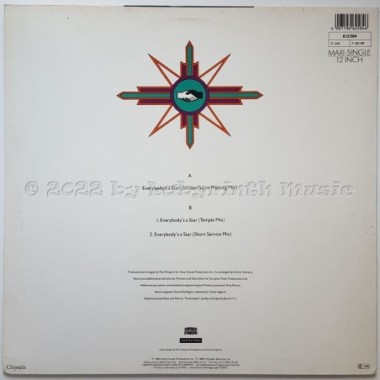 Paul Simpson Feat. Terri Jeffries - Everybody's A Star • 12" Vinyl Maxi • MINT - Labyrinth Music