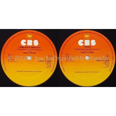 Paul Young - Come Back And Stay • 12" Vinyl Maxi • MINT - Labyrinth Music