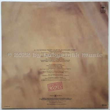 Paul Young - I'm Gonna Tear Your Playhouse Down • 12" Vinyl Maxi • EX - Labyrinth Music