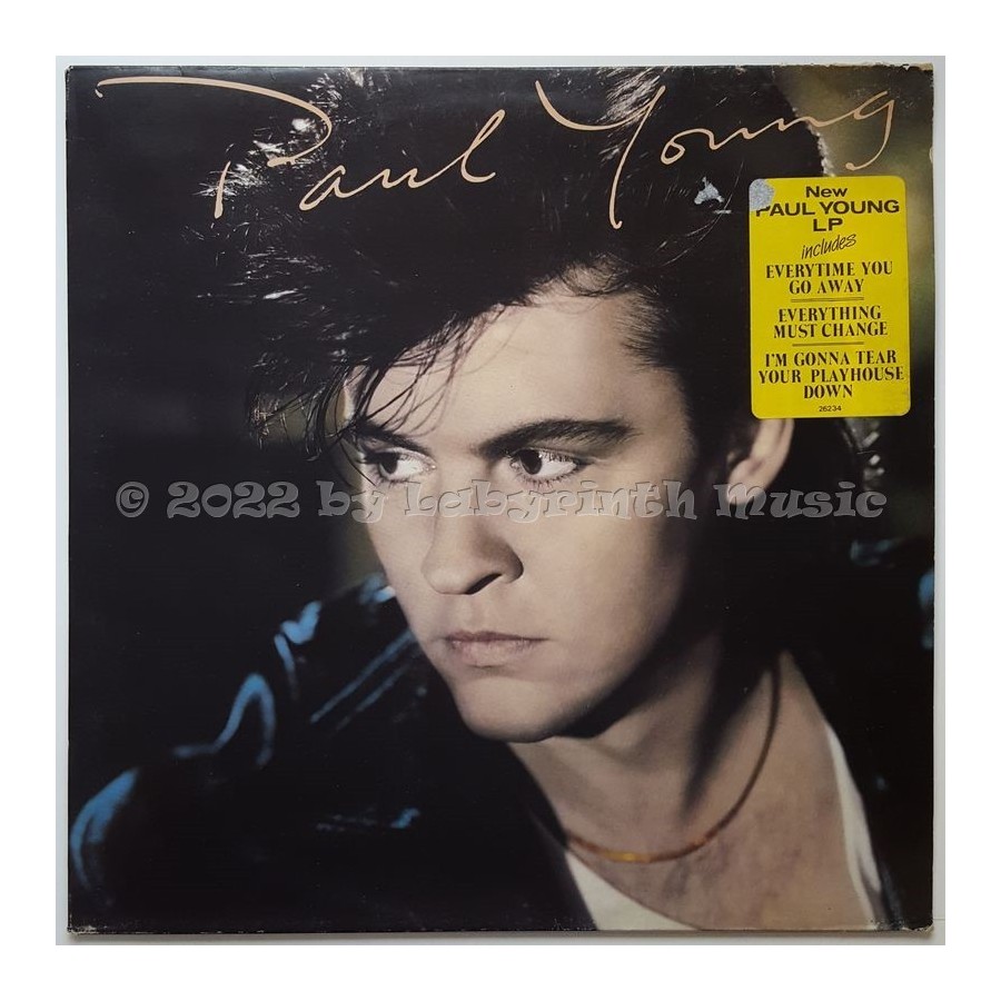 Paul Young - The Secret Of Association • 12" Vinyl LP • EX - Labyrinth Music