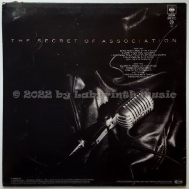 Paul Young - The Secret Of Association • 12" Vinyl LP • EX - Labyrinth Music