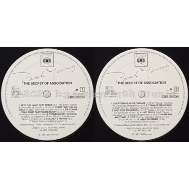 Paul Young - The Secret Of Association • 12" Vinyl LP • EX - Labyrinth Music