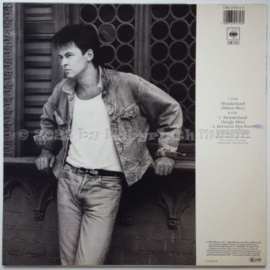 Paul Young - Wonderland • 12" Vinyl Maxi • EX - Labyrinth Music