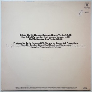 Pauli Carman - Dial My Number • 12" Vinyl Maxi • EX - Labyrinth Music