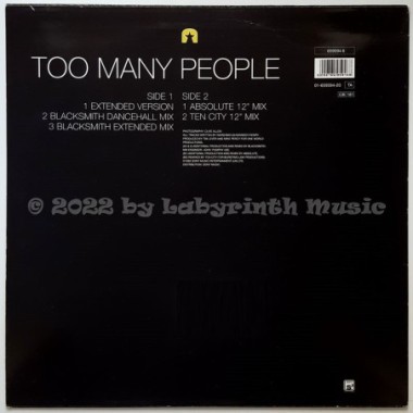 Pauline Henry - Too Many People • 12" Vinyl Maxi • EX - Labyrinth Music