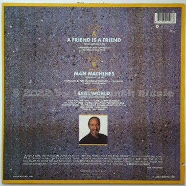 Pete Townshend - A Friend Is A Friend • 12" Vinyl Maxi • EX - Labyrinth Music