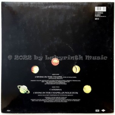 Peter Blakeley - Crying In The Chapel • 12" Vinyl Maxi • EX - Labyrinth Music