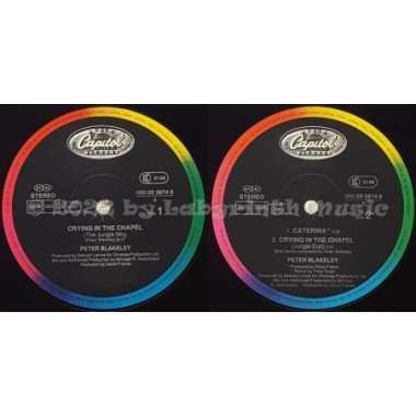 Peter Blakeley - Crying In The Chapel • 12" Vinyl Maxi • EX - Labyrinth Music