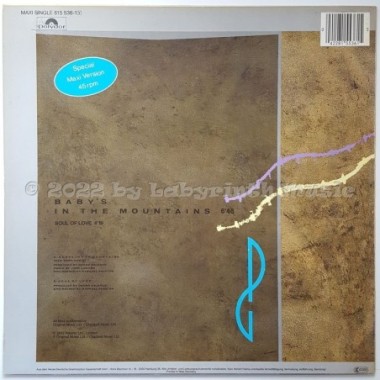 Peter Godwin - Baby's In The Mountains • 12" Vinyl Maxi - Labyrinth Music