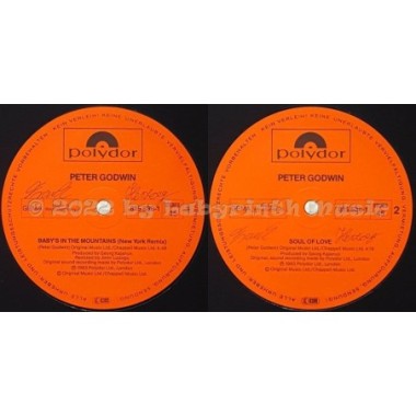 Peter Godwin - Baby's In The Mountains • 12" Vinyl Maxi - Labyrinth Music