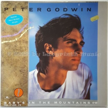 Peter Godwin - Baby's In The Mountains • 12" Vinyl Maxi - Labyrinth Music