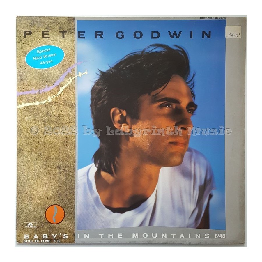 Peter Godwin - Baby's In The Mountains • 12" Vinyl Maxi • EX - Labyrinth Music