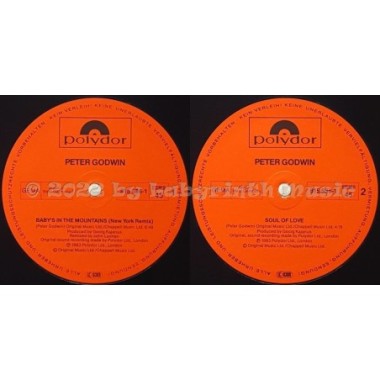 Peter Godwin - Baby's In The Mountains • 12" Vinyl Maxi • EX - Labyrinth Music