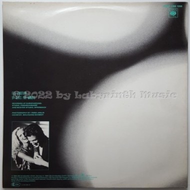 Peter Price - Feel Emotion • 12" Vinyl Maxi • EX - Labyrinth Music