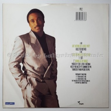 Phil Fearon - Ain't Nothing But A House Party • 12" Vinyl Maxi • EX - Labyrinth Music