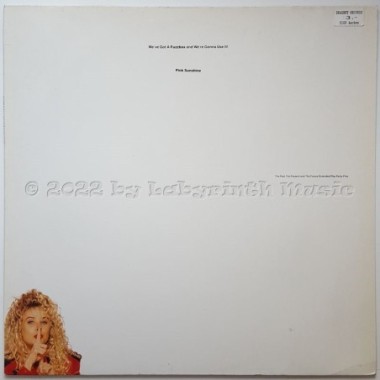 Fuzzbox - Pink Sunshine • 12" Vinyl Maxi • NM - Labyrinth Music
