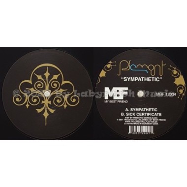 Piemont - Sympathetic • 12" Vinyl Maxi - Labyrinth Music