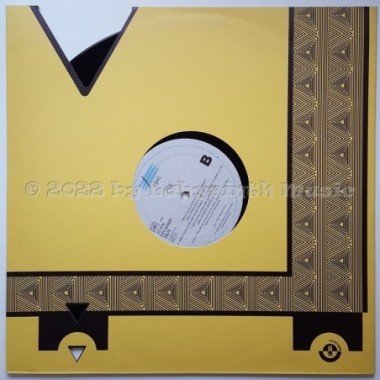 Pile - About Evolution And Development • 12" Vinyl Maxi • EX - Labyrinth Music