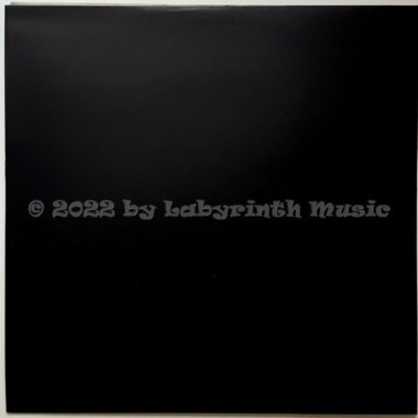 Plastic Voice - Los Ninos Del Parque • Remixes • 12" Vinyl Maxi - Labyrinth Music