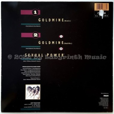 Pointer Sisters - Goldmine • 12" Vinyl Maxi • EX - Labyrinth Music