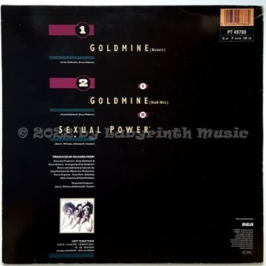 Pointer Sisters - Goldmine • 12" Vinyl Maxi • EX - Labyrinth Music