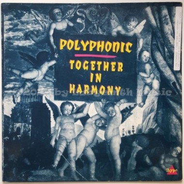 Polyphonic - Together In Harmony • 12" Vinyl Maxi - Labyrinth Music