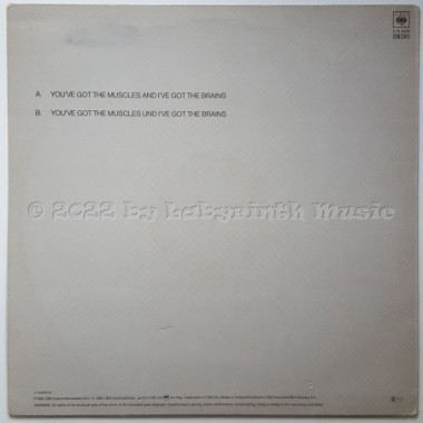 The President - You've Got The Muscles And I've Got The Brains • 12" Vinyl Maxi • EX - Labyrinth Music