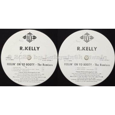 R. Kelly - Feelin' On Yo Booty - The Remixes • 12" Vinyl Maxi • EX - Labyrinth Music