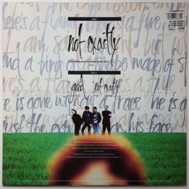 Rainbirds - Not Exactly • 12" Vinyl Maxi • EX - Labyrinth Music