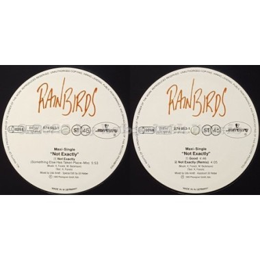 Rainbirds - Not Exactly • 12" Vinyl Maxi • EX - Labyrinth Music