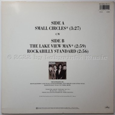 The Rainmakers - Small Circles • 12" Vinyl Maxi - Labyrinth Music