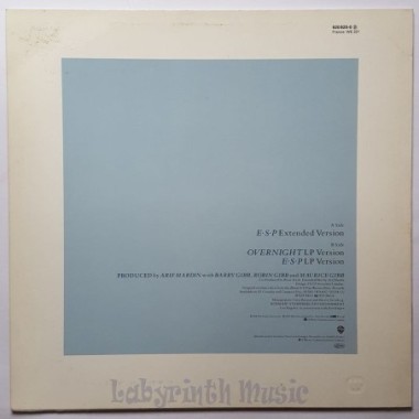 Bee Gees - E·S·P • 12" Vinyl Maxi - Labyrinth Music