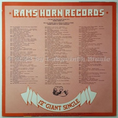 Randy Fredrix - The Hunter • 12" Vinyl Maxi - Labyrinth Music