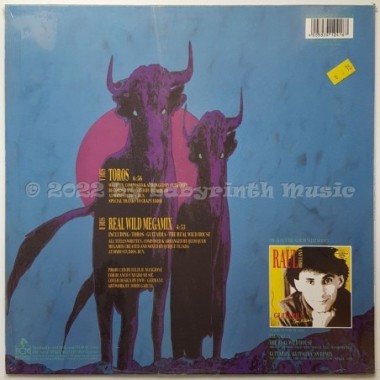 Raul Orellana - Toros • 12" Vinyl Maxi • MINT - Labyrinth Music