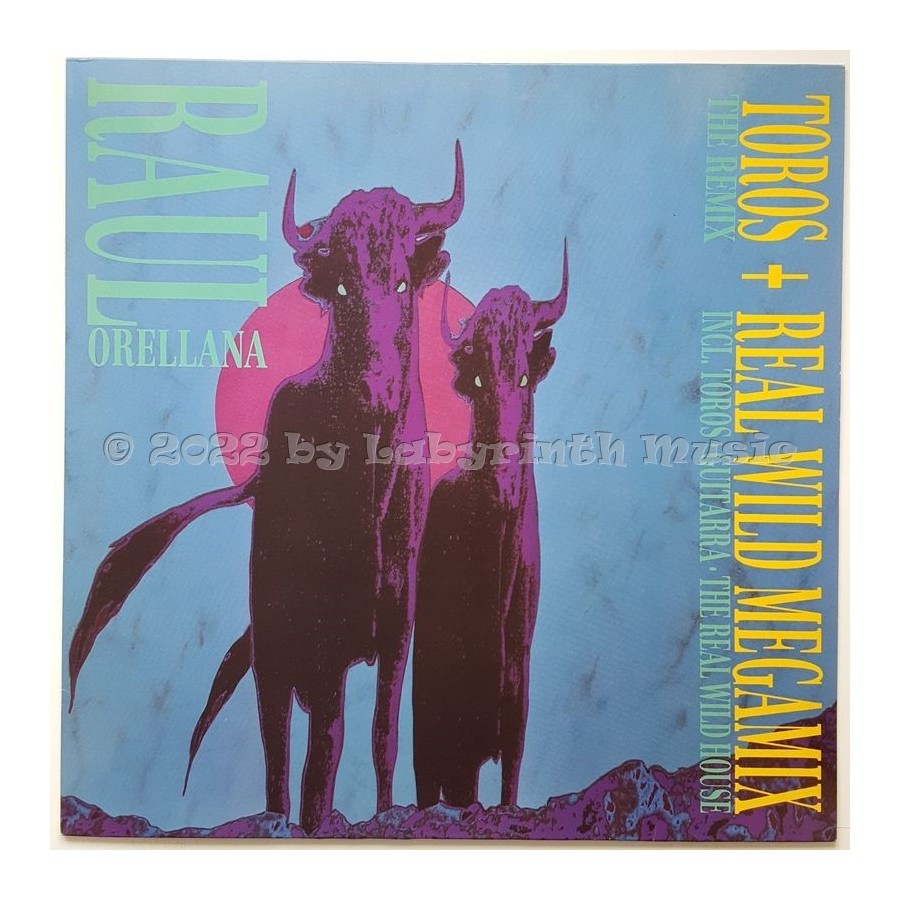 Raul Orellana - Toros • 12" Vinyl Maxi • MINT - Labyrinth Music