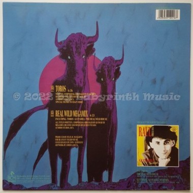 Raul Orellana - Toros • 12" Vinyl Maxi • MINT - Labyrinth Music
