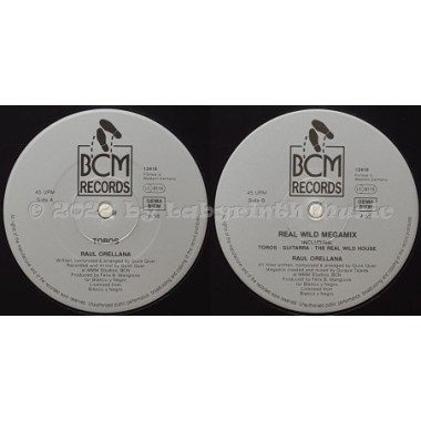 Raul Orellana - Toros • 12" Vinyl Maxi • MINT - Labyrinth Music