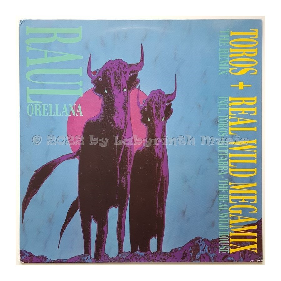 Raul Orellana - Toros • 12" Vinyl Maxi • EX - Labyrinth Music